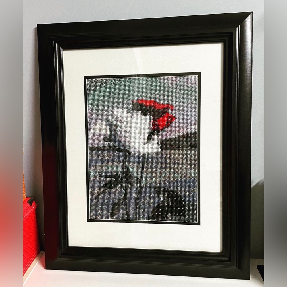Framed Diamond Painting. Roses